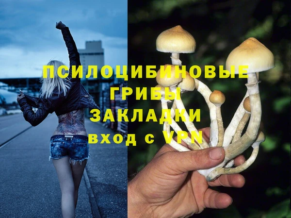дживик Балабаново