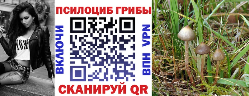 Галлюциногенные грибы мицелий  хочу наркоту  Олёкминск 